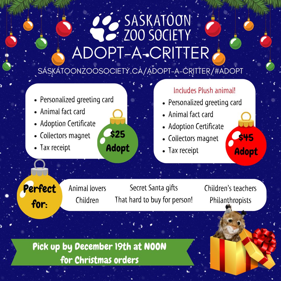 Adopt with deadline